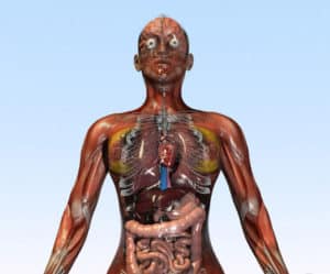 Read more about the article Custom Medical Animation Videos