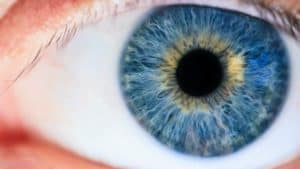 Read more about the article How to change eye color naturally?