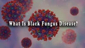 Black fungus disease