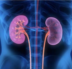 Read more about the article Interstitial Nephritis