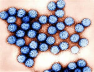 Read more about the article Rotavirus – Symptoms, and Treatment