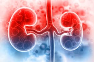 Read more about the article HIV Nephropathy – Symptoms, Causes, and Treatment