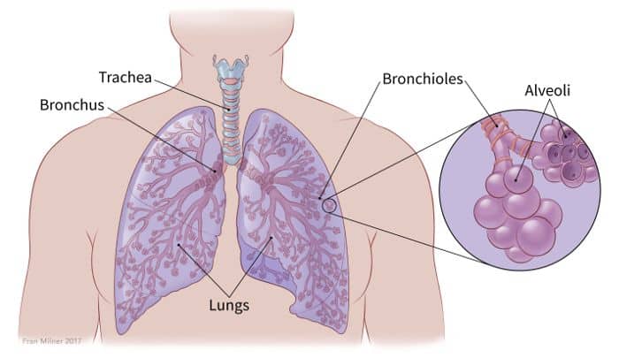 Manchas en el pulmon que significa